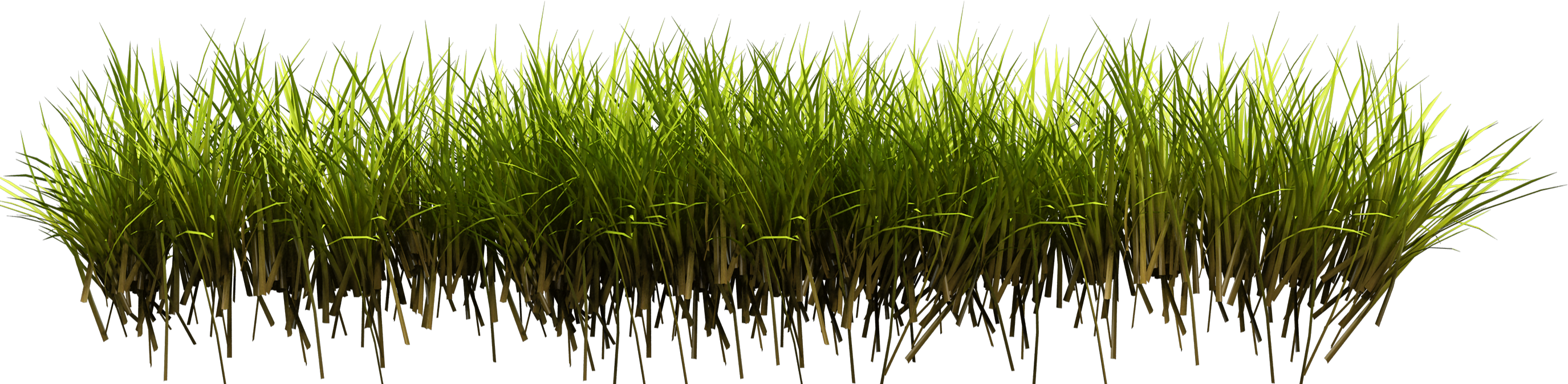 grass-estero